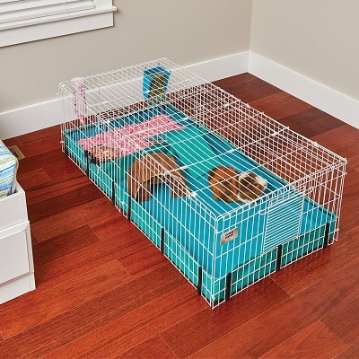 extra large guinea pig cages indoor