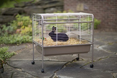 cheap indoor rabbit cages for sale