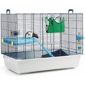how big of a cage does a rat need