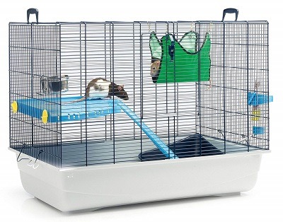 cage for 2 rats